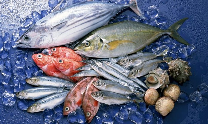 Ege’nin Zeytin Ve Balıklarıyla Sofralara Gelen Doğal Lezzetler Ege Bölgesi, hem zeytin üretimi hem de balık çeşitliliği açısından Türkiye’nin en zengin coğrafyalarından biridir. Ege’nin doğal iklimi ve deniz ekosistemi, hem kaliteli zeytin yetiştiriciliğine hem de çeşitli balık türlerinin bolca avlanmasına olanak sağlar. Bu iki doğal ürün, Ege mutfağının temel taşlarını oluşturur ve sofralara hem sağlık hem de eşsiz tatlar getirir. Zeytin ve balık, bölge halkının günlük beslenmesinde önemli bir yere sahip olmakla birlikte, Türkiye’nin diğer bölgelerinde de giderek daha fazla rağbet görmektedir. Konulu bir haber görseli.