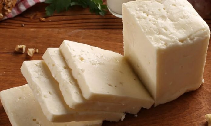 Ezine peyniri üretimi titiz bir süreç gerektirir. Öncelikle taze süt toplanır ve mayalanma aşamasına geçilir.