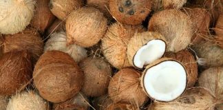 Hindistancevizi Yağıyla Pişirme ve Kavurma İle Sofralarda Lezzet Hindistancevizi yağı, mutfaklarda hem sağlıklı hem de aromatik bir pişirme malzemesi olarak öne çıkar. Hindistancevizi yağıyla pişirme, yiyeceklerin doğal lezzetini korumasına ve aroma kazanmasına yardımcı olur. Özellikle kavurma tekniklerinde bu yağ, yiyeceklerin dış yüzeyini hafifçe kızartırken iç dokusunu yumuşak bırakır. Konulu bir haber görseli.