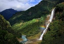 Kuzeydoğu Hindistan Mutfağı, ülkenin diğer bölgelerinden oldukça farklı bir gastronomik yapıya sahiptir. Assam, Meghalaya, Manipur, Mizoram, Tripura, Nagaland ve Arunachal Pradesh gibi eyaletlerin birleşiminden oluşan bu mutfak, yerel kültürler ve etnik grupların etkisiyle şekillenmiştir. Bu zengin kültürel çeşitlilik, yemeklerde hem tat hem de pişirme tekniklerinde kendini gösterir. Konulu bir haber görseli.