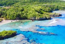 Niue Mutfağı, Güney Pasifik’in küçük ama zengin kültürel geçmişe sahip adası Niue’nin geleneksel yemeklerini ve beslenme alışkanlıklarını yansıtır. Ada halkı yüzyıllardır deniz ürünleri, tropikal meyveler ve kök sebzeleri kullanarak kendine özgü tarifler geliştirmiştir. Hindistancevizi, taro, balık ve muz, Niue mutfağının temel ögeleri arasında yer alır.