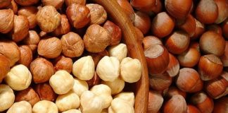 Fındık ve ceviz, sofraların hem lezzet hem de besin değeri açısından vazgeçilmez unsurları arasında yer alıyor. Özellikle kahvaltıdan ana öğünlere, tatlılardan atıştırmalıklara kadar geniş bir kullanım alanına sahip olan bu kuruyemişler, zengin içeriğiyle sağlıklı beslenmenin destekçisi konumunda. Türkiye, özellikle fındık üretiminde dünya lideri olması sebebiyle sofralarda tazeliği ve kalitesiyle öne çıkan fındığı bolca kullanır. Ceviz ise hem taze hem de kırılmış olarak mutfaklarda önemli bir yer tutar. Konulu bir haber görseli.