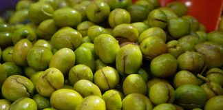 Yeşil Zeytin: Sofralarda Sağlık ve Lezzet Bir Arada Yeşil zeytin, binlerce yıllık bir geçmişe sahip. Tarih boyunca birçok uygarlık için hem besin kaynağı hem de kültürel bir sembol olmuştur. Antik dönemlerde kutsal sayılan zeytin ağacı, barışın ve bolluğun işareti olarak görülmüş, sofralara sunduğu yeşil zeytin ile insanlığın yaşamına değer katmıştır.