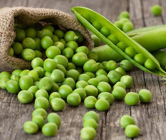 Bezelye, mutfaklarımızın hem taze hem de kuru olarak kullandığı önemli bir sebzedir. Tarih boyunca hem Anadolu hem de dünya mutfağında kendine yer bulan bezelye, besleyici içeriğiyle sofraların vazgeçilmezleri arasında yer alır. Zengin protein ve lif içeriği, bezelyeyi özellikle sağlıklı beslenme alışkanlıklarında öne çıkarır. Konulu bir haber görseli.