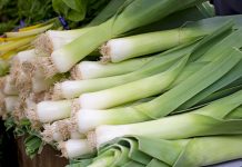 Pırasa, hem lezzeti hem de sağlığa faydaları ile mutfaklarımızda önemli bir yere sahiptir. Tarih boyunca Akdeniz ve Anadolu mutfağında sıkça kullanılan pırasa, vitamin ve mineral bakımından oldukça zengindir. İçerdiği A, C ve K vitaminleri sayesinde bağışıklığı güçlendirirken, potasyum ve demir mineralleri ile vücuda enerji sağlar. Konulu bir haber görseli.