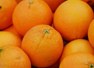 Kış aylarının vazgeçilmez meyvelerinden biri olan portakal, sadece lezzetiyle değil içerdiği besin değerleriyle de dikkat çekiyor. Özellikle C vitamini açısından oldukça zengin olan bu meyve, bağışıklık sistemini güçlendirmede önemli bir role sahip. Soğuk algınlığı ve grip gibi kış hastalıklarına karşı doğal bir koruma sağladığı için portakal, günlük beslenme alışkanlıklarında mutlaka yer alması gereken bir gıda olarak öne çıkıyor. Bunun yanı sıra, içerdiği potasyum, kalsiyum ve lif sayesinde hem kalp sağlığını destekliyor hem de sindirim sistemini düzenliyor. Konulu bir haber görseli.