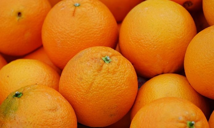 Kış aylarının vazgeçilmez meyvelerinden biri olan portakal, sadece lezzetiyle değil içerdiği besin değerleriyle de dikkat çekiyor. Özellikle C vitamini açısından oldukça zengin olan bu meyve, bağışıklık sistemini güçlendirmede önemli bir role sahip. Soğuk algınlığı ve grip gibi kış hastalıklarına karşı doğal bir koruma sağladığı için portakal, günlük beslenme alışkanlıklarında mutlaka yer alması gereken bir gıda olarak öne çıkıyor. Bunun yanı sıra, içerdiği potasyum, kalsiyum ve lif sayesinde hem kalp sağlığını destekliyor hem de sindirim sistemini düzenliyor. Konulu bir haber görseli.