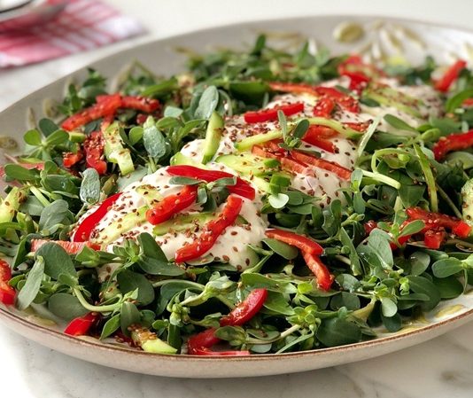 Semizotu Salatası, özellikle yaz aylarında sofraları süsleyen, ferahlatıcı ve sağlıklı bir salata çeşididir. Semizotunun kendine has tadı ve kıtır dokusu, bu salatayı farklı kılan başlıca unsurlardandır. Salatanın kökeni Anadolu mutfağına dayanmakla birlikte, Akdeniz ve Orta Doğu mutfaklarında da uzun yıllardır sofralarda yer alır. Konulu bir haber görseli.