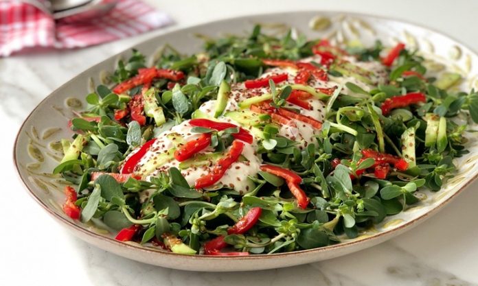 Semizotu Salatası, özellikle yaz aylarında sofraları süsleyen, ferahlatıcı ve sağlıklı bir salata çeşididir. Semizotunun kendine has tadı ve kıtır dokusu, bu salatayı farklı kılan başlıca unsurlardandır. Salatanın kökeni Anadolu mutfağına dayanmakla birlikte, Akdeniz ve Orta Doğu mutfaklarında da uzun yıllardır sofralarda yer alır. Konulu bir haber görseli.