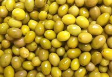 Yeşil zeytin, Akdeniz mutfağının en bilinen tatlarından biri olarak sofralarda önemli bir yere sahiptir. Kahvaltıdan salatalara, mezelerden ana yemeklere kadar geniş bir kullanım alanı sunar. Özellikle ferah aroması ve hafif tuzlu yapısı sayesinde her yaştan insanın severek tükettiği bir besindir. Aynı zamanda içerdiği sağlıklı yağlar ve vitaminler sayesinde dengeli bir beslenme için de idealdir. Konulu bir haber görseli.