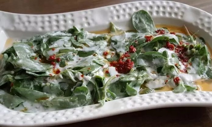 Yoğurtlu semizotu, özellikle yaz aylarında sofraların vazgeçilmez mezelerinden biridir ve hem hafifliği hem de besleyici özelliği ile öne çıkar. Yoğurtlu semizotu, taze semizotu, yoğurt, sarımsak ve zeytinyağı ile hazırlanan, ferahlatıcı ve sağlıklı bir mezedir. Semizotu, omega-3 yağ asitleri ve vitamin açısından zengindir, kalp sağlığını destekler ve bağışıklık sistemine katkıda bulunur. Yoğurt ise protein ve probiyotik içerir, sindirim sistemini güçlendirir ve tokluk hissi yaratır. Konulu bir haber görseli.