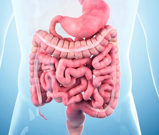 Bağırsaklar, vücudun en kritik sindirim organlarından biridir ve genel sağlık üzerinde doğrudan etkisi vardır. Modern yaşamın hızlı temposu, işlenmiş gıdalar ve stres, bağırsak sağlığını olumsuz etkileyebilir. Bu nedenle bağırsak temizliği diyeti, sindirim sistemini desteklemek, toksinleri atmak ve enerji seviyelerini yükseltmek için önemli bir beslenme yaklaşımıdır. Düzenli olarak uygulandığında hem metabolizmayı hızlandırır hem de bağışıklık sistemini güçlendirir. Konulu bir haber görseli.