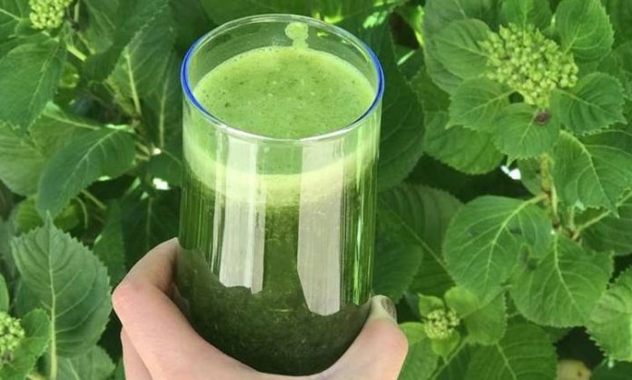Bitkisel detoks, vücudu toksinlerden arındırmak, sindirim sistemini desteklemek ve enerji seviyesini artırmak için son yıllarda popüler bir beslenme yöntemi haline geldi. Taze sebze, meyve ve bitkisel çaylar ile yapılan bu uygulamalar, hem bedensel hem de zihinsel sağlığı destekler. Bitkisel detoks, doğru uygulandığında metabolizmayı düzenler, bağışıklık sistemini güçlendirir ve yaşam kalitesini artırır. İnsanlar, kısa süreli veya düzenli olarak yapılan bitkisel detoks programları ile sağlıklı yaşam alışkanlıklarını pekiştiriyor. Konulu bir haber görseli.