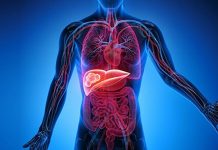 Karaciğer, vücudun en önemli detoks organlarından biridir ve sağlıklı çalışması genel sağlık açısından kritik bir rol oynar. Modern yaşamda işlenmiş gıdalar, alkol ve stres gibi faktörler karaciğerin yükünü artırabilir. Bu nedenle karaciğer temizleme diyeti, vücudu toksinlerden arındırmak, metabolizmayı desteklemek ve enerji seviyelerini yükseltmek için etkili bir yöntem olarak öne çıkıyor. Bu diyet, doğru uygulandığında hem besleyici hem de güvenli bir yaşam tarzı sağlar. Konulu bir haber görseli.