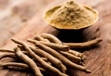 Günümüzde sağlıklı yaşam kavramı yalnızca fiziksel iyi olma hâliyle sınırlı kalmamakta, zihinsel denge ve stres yönetimi de bu anlayışın önemli bir parçası hâline gelmektedir. Bu noktada doğal kaynaklı çözümlere olan ilgi giderek artmaktadır. Özellikle adaptogen bitkileri, vücudun strese uyum sağlama kapasitesini destekleyen özellikleriyle dikkat çekmektedir. Yüzyıllardır farklı kültürlerde kullanılan bu bitkiler, modern beslenme ve yaşam tarzı yaklaşımlarında yeniden keşfedilmektedir. Konulu bir haber görseli.