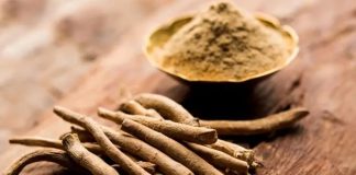 Adaptogen Bitkileri Sağlıklı Yaşam Arayışında Maca Ve Ashwagandha Etkisi Günümüzde sağlıklı yaşam kavramı yalnızca fiziksel iyi olma hâliyle sınırlı kalmamakta, zihinsel denge ve stres yönetimi de bu anlayışın önemli bir parçası hâline gelmektedir. Bu noktada doğal kaynaklı çözümlere olan ilgi giderek artmaktadır. Özellikle adaptogen bitkileri, vücudun strese uyum sağlama kapasitesini destekleyen özellikleriyle dikkat çekmektedir. Yüzyıllardır farklı kültürlerde kullanılan bu bitkiler, modern beslenme ve yaşam tarzı yaklaşımlarında yeniden keşfedilmektedir. Konulu bir haber görseli.