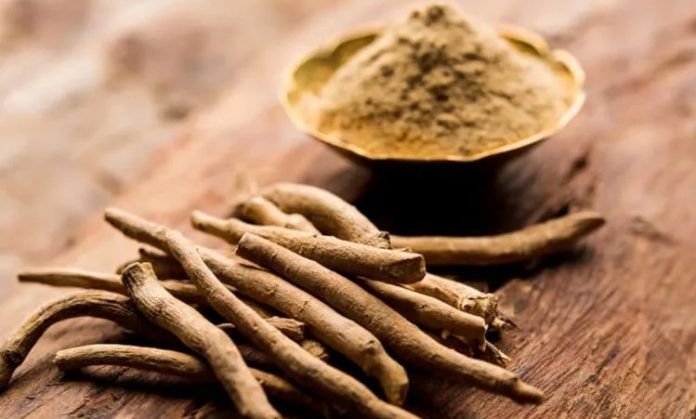 Adaptogen Bitkileri Sağlıklı Yaşam Arayışında Maca Ve Ashwagandha Etkisi Günümüzde sağlıklı yaşam kavramı yalnızca fiziksel iyi olma hâliyle sınırlı kalmamakta, zihinsel denge ve stres yönetimi de bu anlayışın önemli bir parçası hâline gelmektedir. Bu noktada doğal kaynaklı çözümlere olan ilgi giderek artmaktadır. Özellikle adaptogen bitkileri, vücudun strese uyum sağlama kapasitesini destekleyen özellikleriyle dikkat çekmektedir. Yüzyıllardır farklı kültürlerde kullanılan bu bitkiler, modern beslenme ve yaşam tarzı yaklaşımlarında yeniden keşfedilmektedir. Konulu bir haber görseli.