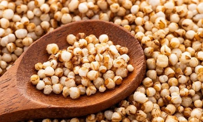 Amarant, son yıllarda hem sağlıklı yaşam arayışında olan tüketicilerin hem de alternatif tarım ürünlerine yönelen üreticilerin dikkatini çeken bir süper gıda olarak öne çıkıyor. Geleneksel tahıllardan farklı olarak botanik açıdan tahıl sayılmayan ancak kullanım alanı ve besin değeriyle tahıllarla benzerlik gösteren amarant, özellikle glutensiz yapısı sayesinde geniş bir kitleye hitap ediyor. Uzmanlar, artan gıda intoleransları ve fonksiyonel beslenme trendleri doğrultusunda amarantın gelecekte daha da yaygınlaşacağını öngörüyor. Konulu bir haber görseli.