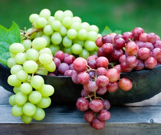 Üzüm, insanlık tarihinin en eski tarım ürünlerinden biri olarak hem beslenme kültüründe hem de ekonomik hayatta özel bir yere sahiptir. Binlerce yıldır farklı coğrafyalarda yetiştirilen üzüm, taze tüketimden kuru meyveye, pekmezden geleneksel ürünlere kadar geniş bir kullanım alanına sahiptir. Türkiye gibi bağcılık kültürünün güçlü olduğu ülkelerde üzüm, yalnızca bir meyve değil; aynı zamanda gelenek, emek ve üretimin simgesi olarak görülür. Konulu bir haber görseli.