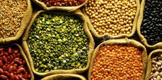 Baklagil proteini, son yıllarda sağlıklı yaşam ve bitki temelli beslenme trendlerinin yükselmesiyle birlikte daha fazla ilgi gören besin unsurlarından biri haline gelmiştir. Mercimek, nohut, fasulye ve bezelye gibi baklagillerden elde edilen bu protein türü, hem doğal yapısı hem de besleyici içeriğiyle dikkat çekmektedir. Hayvansal proteinlere alternatif arayan bireyler için baklagil proteini, dengeli ve sürdürülebilir bir beslenme anlayışının önemli bir parçası olarak öne çıkmaktadır. Konulu bir haber görseli.