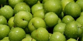 Erik, bahar aylarının sonu ve yazın başlangıcıyla birlikte pazarlarda kendini göstermeye başlayan, ekşi ile tatlı arasındaki dengesiyle öne çıkan özel bir meyve olarak dikkat çekiyor. Özellikle mevsimin ilk ürünleri arasında yer alan erik, tazeliği ve ferahlatıcı tadıyla sofralarda farklı bir heyecan yaratıyor. Türkiye’de geniş bir üretim alanına sahip olan erik, hem geleneksel tüketim alışkanlıklarında hem de modern beslenme anlayışında önemli bir yer tutuyor. Konulu bir haber görseli.