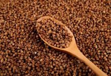 Son yıllarda beslenme alışkanlıklarında yaşanan dönüşüm, geleneksel ürünlerin yeniden keşfedilmesini sağladı. Bu ürünlerin başında gelen karabuğday tüketimi, özellikle sağlıklı yaşam ve dengeli beslenme arayışında olan bireylerin dikkatini çekiyor. Tahıl olarak bilinse de aslında farklı bir bitki grubuna ait olan karabuğday, doğal yapısı ve kullanım çeşitliliğiyle mutfaklarda giderek daha fazla yer buluyor. Konulu bir haber görseli.