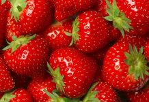 Çilek, rengi, kokusu ve tadıyla yalnızca bir meyve olmanın ötesinde, kültürel ve ekonomik anlamlar taşıyan özel bir ürün olarak dikkat çekiyor. Türkiye’de özellikle ilkbahar ve yaz aylarında tezgâhları süsleyen çilek, hem taze tüketimi hem de farklı kullanım alanlarıyla geniş bir kitleye hitap ediyor. Besin değeri yüksek yapısı, aromatik tadı ve görsel çekiciliği sayesinde sofralarda önemli bir yer edinen bu meyve, aynı zamanda tarımsal üretimde de stratejik bir rol üstleniyor. Konulu bir haber görseli.