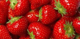 Çilek, rengi, kokusu ve tadıyla yalnızca bir meyve olmanın ötesinde, kültürel ve ekonomik anlamlar taşıyan özel bir ürün olarak dikkat çekiyor. Türkiye’de özellikle ilkbahar ve yaz aylarında tezgâhları süsleyen çilek, hem taze tüketimi hem de farklı kullanım alanlarıyla geniş bir kitleye hitap ediyor. Besin değeri yüksek yapısı, aromatik tadı ve görsel çekiciliği sayesinde sofralarda önemli bir yer edinen bu meyve, aynı zamanda tarımsal üretimde de stratejik bir rol üstleniyor. Konulu bir haber görseli.