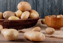 Dünya genelinde en çok tüketilen temel gıdalardan biri olan patates, hem ekonomik erişilebilirliği hem de çok yönlü kullanımıyla mutfakların vazgeçilmezleri arasında yer alıyor. Kökeni Güney Amerika’ya dayanan patates, yüzyıllar içinde Avrupa’dan Asya’ya, Afrika’dan Orta Doğu’ya kadar yayılarak küresel bir besin haline geldi. Bugün kızartmadan haşlamaya, pürelerden fırın yemeklerine kadar sayısız tarifte kullanılan patates, besin değeri ve doyuruculuğuyla da öne çıkıyor. Konulu bir haber görseli.