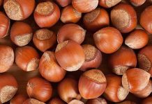 Sağlıklı beslenme denildiğinde akla gelen ilk doğal gıdalar arasında fındık, badem ve ceviz yer alıyor. Yüzyıllardır hem geleneksel mutfaklarda hem de modern beslenme programlarında önemli bir konuma sahip olan bu kuruyemişler, zengin besin değerleriyle dikkat çekiyor. Günlük hayatta ara öğünlerden kahvaltı sofralarına, tatlılardan salatalara kadar pek çok alanda kullanılan bu ürünler, doğal yapıları sayesinde dengeli beslenmenin temel taşlarından biri olarak görülüyor. Konulu bir haber görseli.